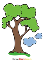 Baum Clipart, Bild, Cartoon, Grafik, Illustration