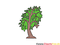 Baum Clipart, Illustration, Bild kostenlos