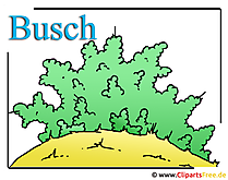 Busch Clipart Bild