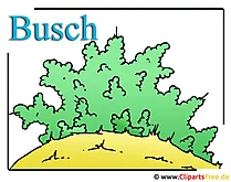 Busch Clipart Bild