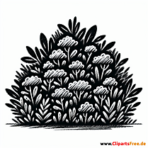 Busch Clipart schwarz-weiß