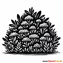 Busch Clipart schwarz-weiß