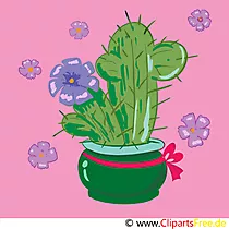 Pflanzen