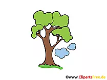 Eiche Clipart, Bild, Grafik, Cartoon, Zeichnung gratis