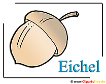 Eichel Clipart Bild kostenlos