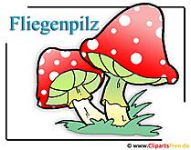 Fliegenpilz Bild Clipart free