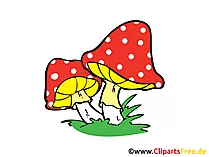 Fliegenpilze Clipart, Bild, Comic, Cartoon gratis