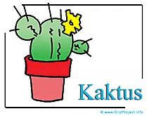 Kaktus Clipart Bild free