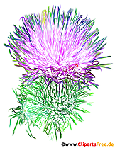 Klette Clipart - Bilder  für Sachunterricht