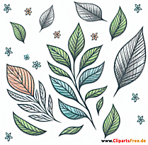 Laub Clipart