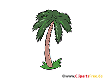 Palme Clipart, Illustration, Bild kostenlos