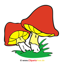 Pilze im Wald PNG Clipart, Bild, Cartoon kostenlos