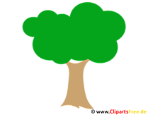 PNG Clipart Baum
