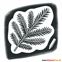 Tannenzweig Clipart Kostenlos