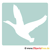 Ente Clipart kostenlos