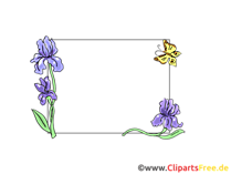 Schwertlilie,Iris Blumenranken Rahmen für Bilder und Fotos