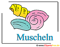 Muscheln Cliparts free