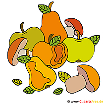 Harvest clipart