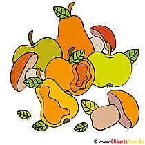 Oes Clipart