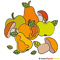 Clipart récolte