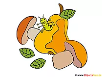 Erntedankfest mit Kindern feiern Clipart