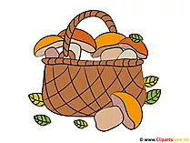 Korb mit Pilzen