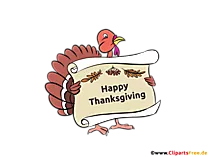 Ihe atụ ekele ekele nke Turkey, ihe nkiri vidiyo, onyonyo