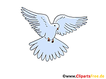 Bild Taube zu Pfingsten