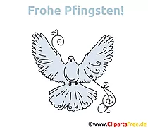 Pfingst Bilder