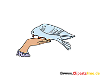 Pfingsten Taube Symbol