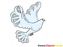 Pfingster Bild