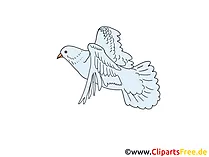 Pigeon Clip Art