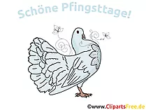 Schoene Pfingsten