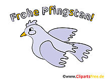 Taube Clipart - Bilder zu Pfingsten