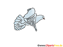 Taube Clipart