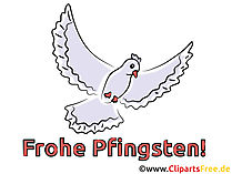 Taube Karte zu Pfingsten