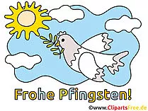 Taube mit Blume Clipart