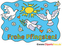 Tauben Bilder zu Pfinsten