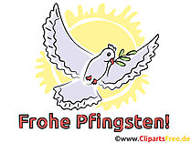 Vogel Bild Pfingsten