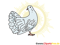 Weiße Taube Symbol, Bild, Clip Art, Image