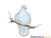 Whitsunday Clip Art