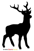 Hirsch Bild, Clipart, Illustration