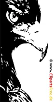 Adler Clipart, Bild, Illustration