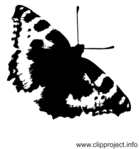 Bild-Clipart Tagpfauenauge