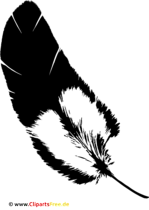 Clipart Feder PNG