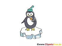 Punguin auf Eisscholle Bild zum Silvester