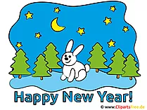 Neujahr Bilder