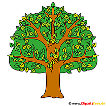 Clipart stromu - letní kliparty zdarma