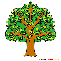 Clipart arbre - cliparts d'été gratuit