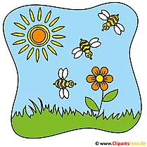 Bienen Clipart - Sommer Cliparts free